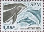 动物:北美洲:圣皮埃尔和密克隆:spm200503.jpg