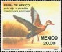 动物:北美洲:墨西哥:mx198402.jpg