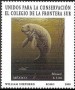 动物:北美洲:墨西哥:mx200001.jpg