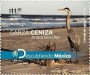 动物:北美洲:墨西哥:mx201001.jpg