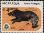 动物:北美洲:尼加拉瓜:ni198404.jpg