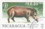 动物:北美洲:尼加拉瓜:ni199004.jpg
