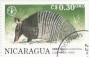 动物:北美洲:尼加拉瓜:ni199005.jpg