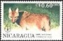 动物:北美洲:尼加拉瓜:ni199006.jpg