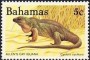 动物:北美洲:巴哈马:bs198401.jpg