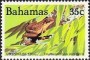 动物:北美洲:巴哈马:bs198403.jpg