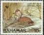 动物:北美洲:巴哈马:bs198802.jpg