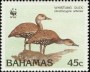 动物:北美洲:巴哈马:bs198804.jpg