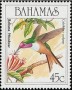动物:北美洲:巴哈马:bs198903.jpg