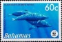 动物:北美洲:巴哈马:bs200704.jpg