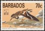 动物:北美洲:巴巴多斯:bb199403.jpg