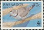 动物:北美洲:巴巴多斯:bb199904.jpg