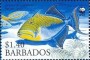动物:北美洲:巴巴多斯:bb200603.jpg