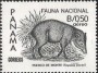 动物:北美洲:巴拿马:pa198404.jpg