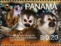 动物:北美洲:巴拿马:pa200702.jpg