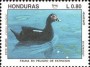 动物:北美洲:洪都拉斯:hn199302.jpg