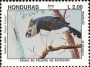 动物:北美洲:洪都拉斯:hn199303.jpg