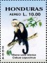 动物:北美洲:洪都拉斯:hn200402.jpg