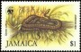 动物:北美洲:牙买加:jm198404.jpg