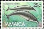 动物:北美洲:牙买加:jm198802.jpg