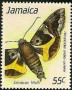 动物:北美洲:牙买加:jm198902.jpg
