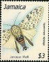 动物:北美洲:牙买加:jm198903.jpg