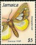 动物:北美洲:牙买加:jm198904.jpg