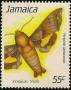 动物:北美洲:牙买加:jm199002.jpg