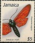 动物:北美洲:牙买加:jm199004.jpg