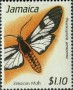 动物:北美洲:牙买加:jm199103.jpg