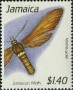 动物:北美洲:牙买加:jm199104.jpg