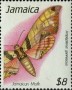 动物:北美洲:牙买加:jm199105.jpg