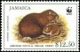 动物:北美洲:牙买加:jm199603.jpg