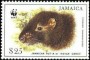 动物:北美洲:牙买加:jm199604.jpg