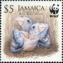 动物:北美洲:牙买加:jm200601.jpg