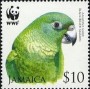 动物:北美洲:牙买加:jm200602.jpg