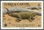 动物:北美洲:特克斯和凯科斯:tc198601.jpg