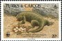 动物:北美洲:特克斯和凯科斯:tc198603.jpg