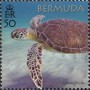 动物:北美洲:百慕大:bm201801.jpg