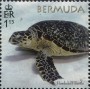 动物:北美洲:百慕大:bm201802.jpg