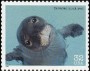 动物:北美洲:美国:us199603.jpg