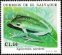 动物:北美洲:萨尔瓦多:sv199104.jpg
