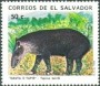 动物:北美洲:萨尔瓦多:sv199307.jpg