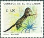 动物:北美洲:萨尔瓦多:sv199309.jpg
