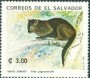 动物:北美洲:萨尔瓦多:sv199310.jpg