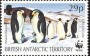 动物:南极洲:英属南极:bat199204.jpg