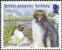 动物:南极洲:英属南极:bat201402.jpg