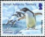 动物:南极洲:英属南极:bat201403.jpg