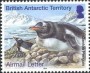 动物:南极洲:英属南极:bat201405.jpg