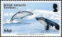 动物:南极洲:英属南极:bat201502.jpg